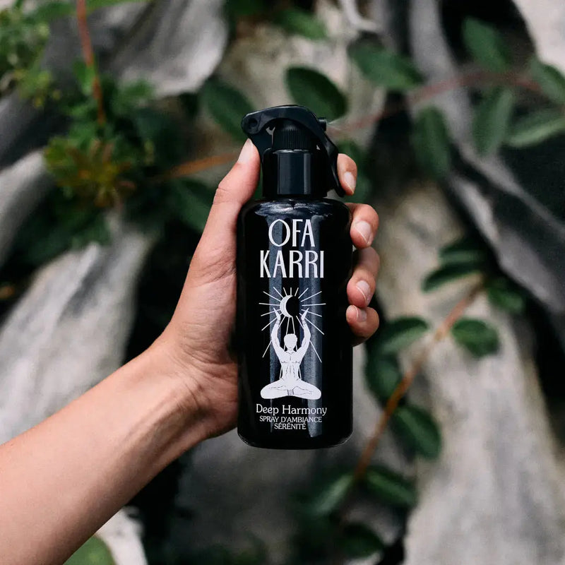 Deep Harmony OFA KARRI