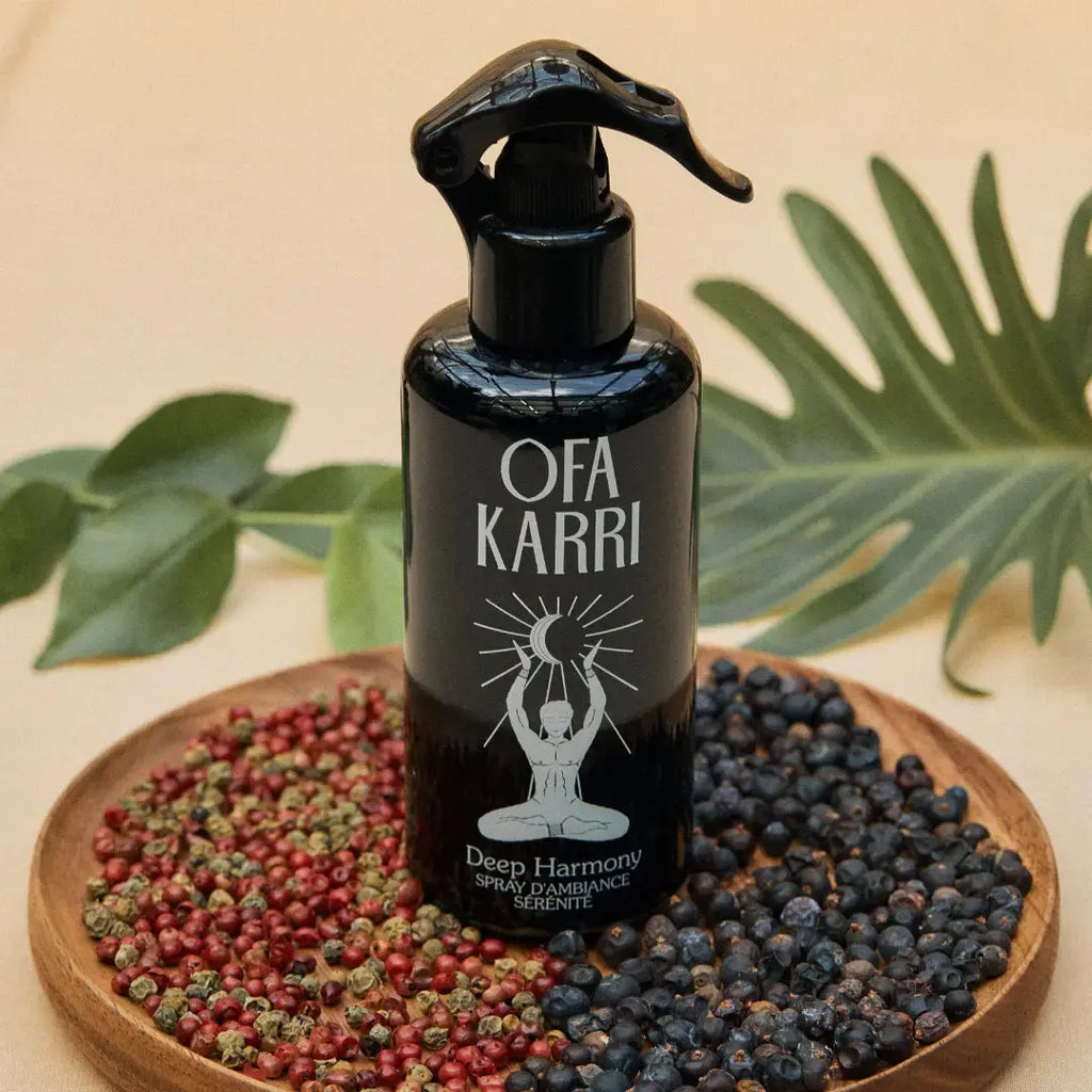 Deep Harmony OFA KARRI